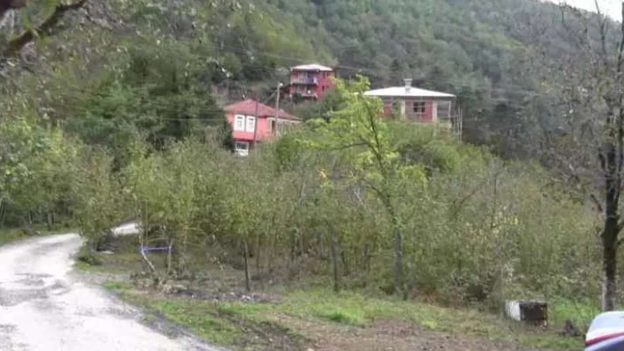 Foto - Bir Karadeniz klasiği: Yoldan geçenler dönüp bir daha bakıyor