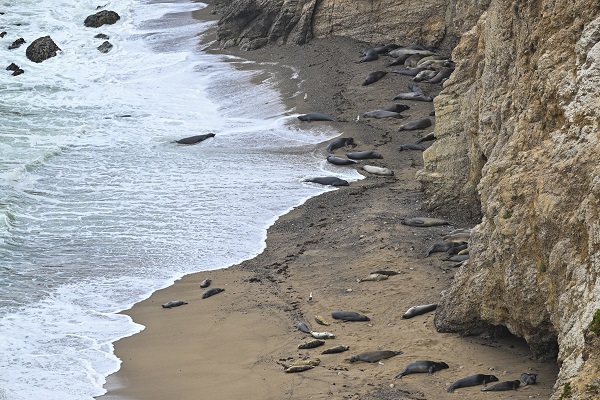 Foto - Bir kare için dünyanın diğer ucundan geliyorlar