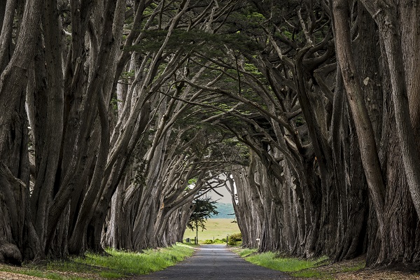 Foto - Bir kare için dünyanın diğer ucundan geliyorlar