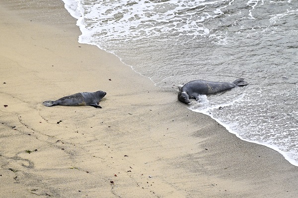 Foto - Bir kare için dünyanın diğer ucundan geliyorlar