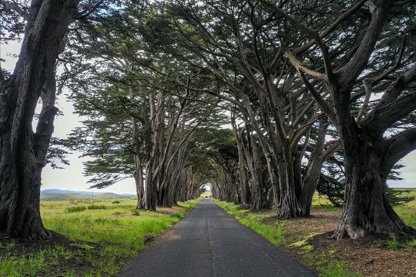 Foto - Bir kare için dünyanın diğer ucundan geliyorlar