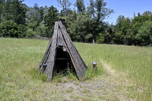 Foto - Bir kare için dünyanın diğer ucundan geliyorlar