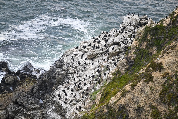 Foto - Bir kare için dünyanın diğer ucundan geliyorlar