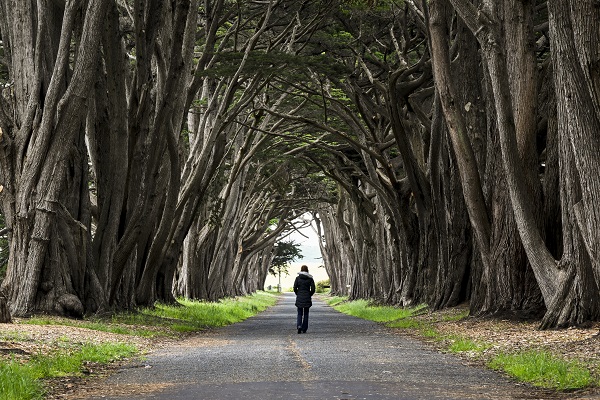 Foto - Bir kare için dünyanın diğer ucundan geliyorlar