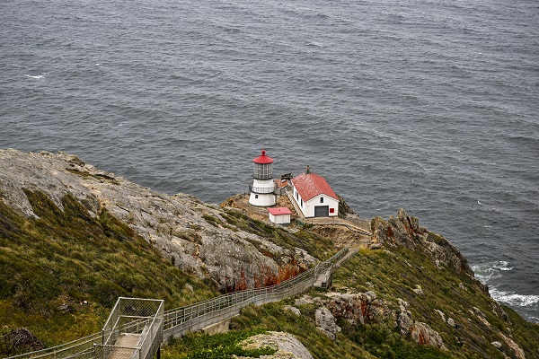 Foto - Bir kare için dünyanın diğer ucundan geliyorlar