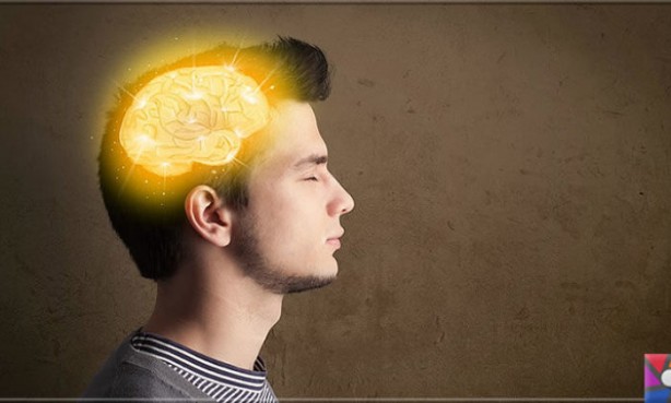 Foto - Bir kaşığı hafızayı zehir gibi yapıyor! Unutkanlığa birebir! Her şeyi hatırlayacaksınız 