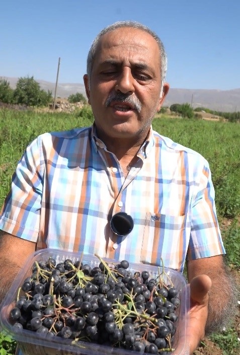 Foto - Bir kaşık aronyalı dondurma hayatını değiştirdi