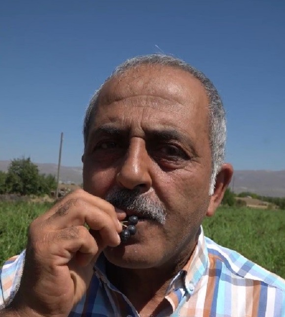 Foto - Bir kaşık aronyalı dondurma hayatını değiştirdi