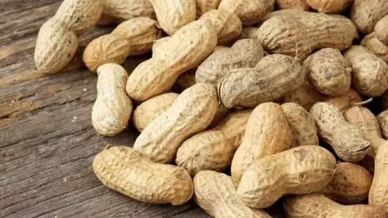 Foto - Bir kaşık tüketen günde 1 kutu kolajen içmiş kadar oluyor! Yaşlanmayı tarihe gömen besin: Hücreleri sıfırlıyor