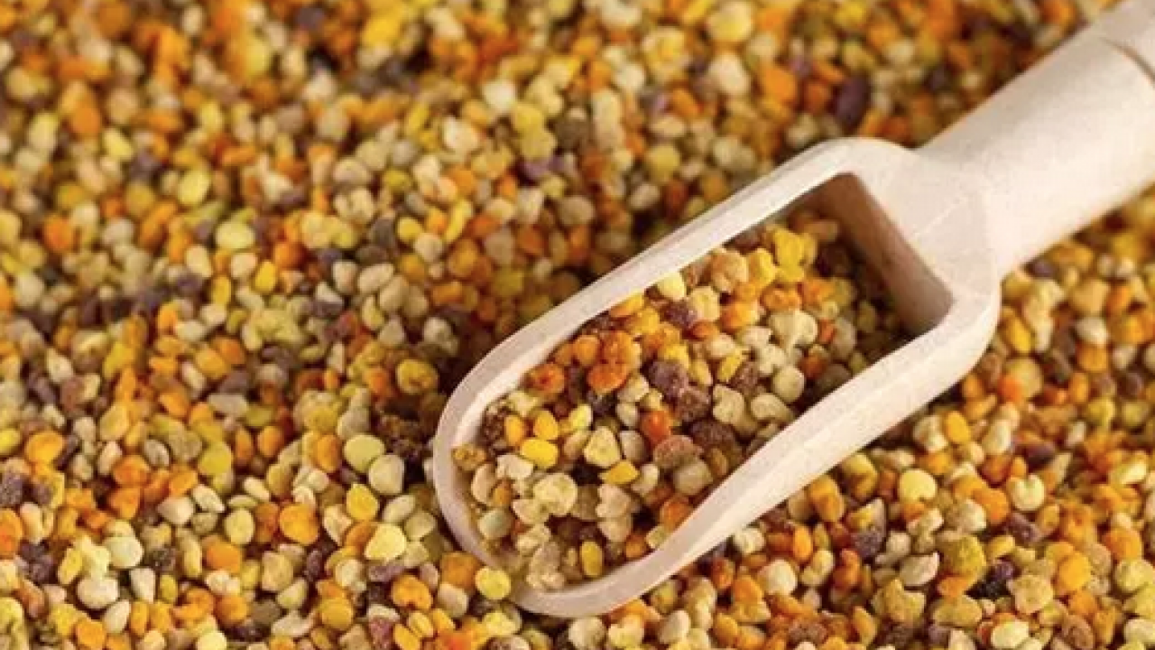 Foto - Bir kaşık tüketen günde 1 kutu kolajen içmiş kadar oluyor! Yaşlanmayı tarihe gömen besin: Hücreleri sıfırlıyor