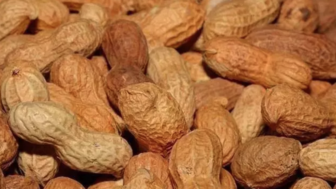 Foto - Bir kaşık tüketen günde 1 kutu kolajen içmiş kadar oluyor! Yaşlanmayı tarihe gömen besin: Hücreleri sıfırlıyor