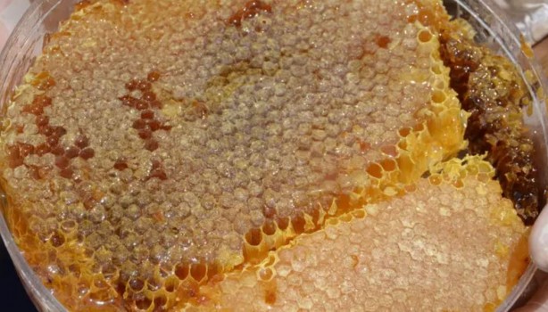 Foto - Bir kilo bal tam 300 bin liraya alıcı buldu! Türkiye'de üretiliyor