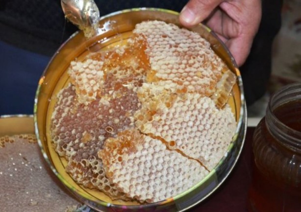 Foto - Bir kilo bal tam 300 bin liraya alıcı buldu! Türkiye'de üretiliyor
