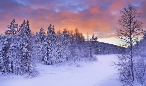 Foto - Bir kış masalı: Lapland