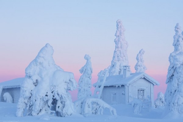 Foto - Bir kış masalı: Lapland
