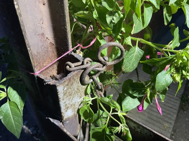 Foto - Bir kişi aydınlatma direğine bağlanmış halde bulundu! Polisler şaşkın