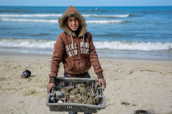 Foto - Bir lokma ekmek için! Filistin’de zorlu mesai