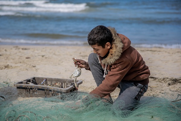 Foto - Bir lokma ekmek için! Filistin’de zorlu mesai