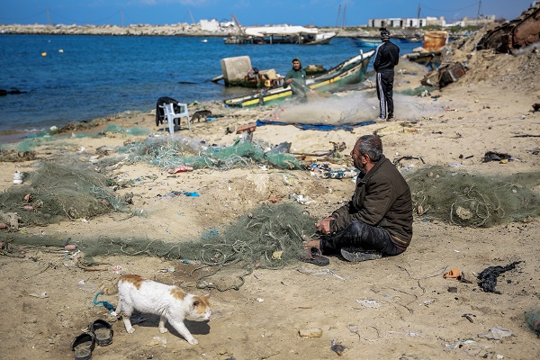 Foto - Bir lokma ekmek için! Filistin’de zorlu mesai