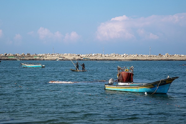 Foto - Bir lokma ekmek için! Filistin’de zorlu mesai