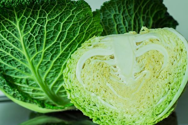 Foto - Bir lokması beynin şifası! Düzenli tüketimi 20 yaş gençleştiriyor! O zaman manav kapıları aşınsın! Ekstra jesti