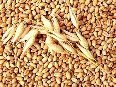 Bir lokması beynin şifası! Düzenli tüketimi 20 yaş gençleştiriyor! O zaman manav kapıları aşınsın! Ekstra jesti