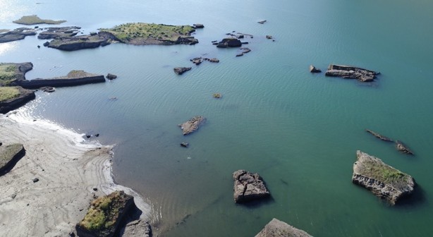 Foto - Bir metrekaresi, 17 bin 600 aracın çıkardığı karbondioksiti yok ediyor! 'Yüzen adalar' karaya oturdu