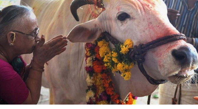 Foto - Bir o Erbakan’a bak, bir bu Erbakan’a bak! Oğlu babasını anlayamamış ki, millet anlasın. Ne acı!