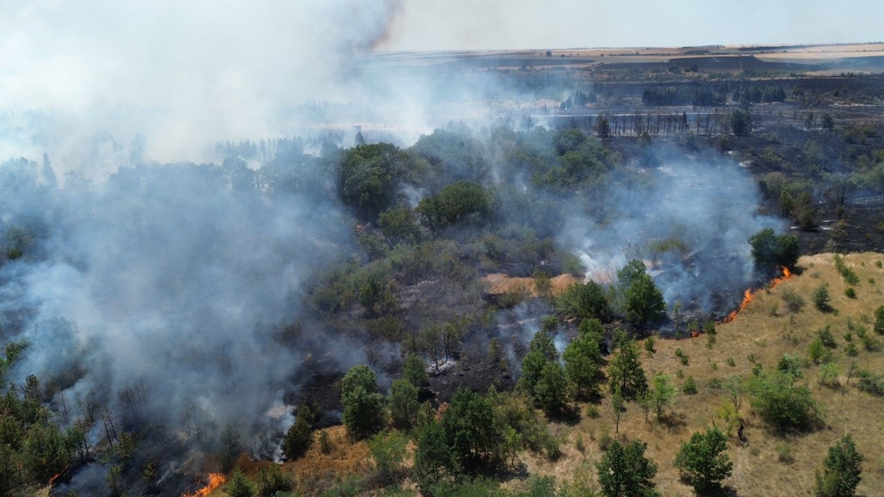 Foto - Bir orman yangını daha! Ekipler olay yerinde