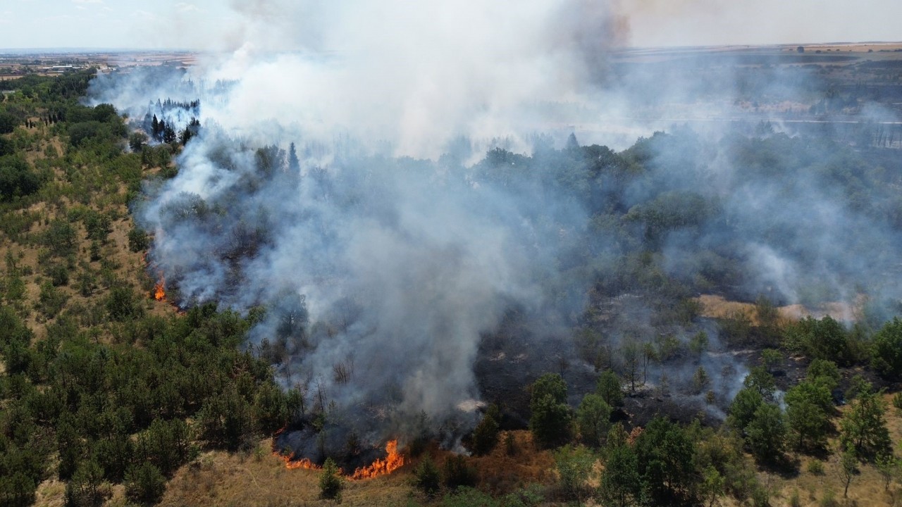 Foto - Bir orman yangını daha! Ekipler olay yerinde