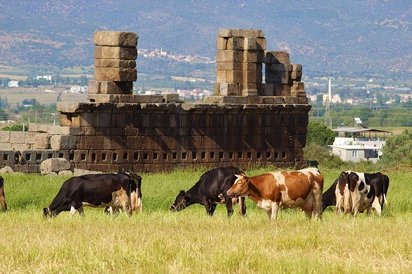 Foto - Bir örneği Arjantin'de! Doğaseverler Madran Dağı'na akın ediyor