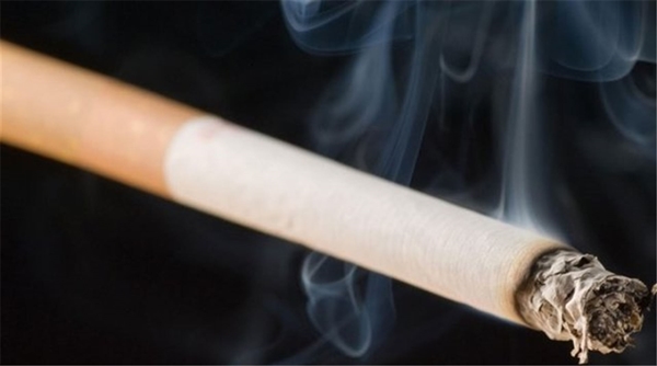 Foto - Bir pakette neden 20 sigara var? Hiç düşündünüz mü?