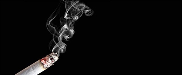 Foto - Bir pakette neden 20 sigara var? Hiç düşündünüz mü?