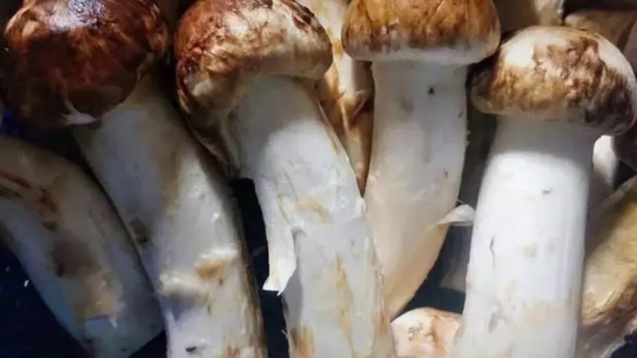 Foto - Bir porsiyonu 28 bin lira! İşte dünyanın en pahalı 10 yiyeceği! 