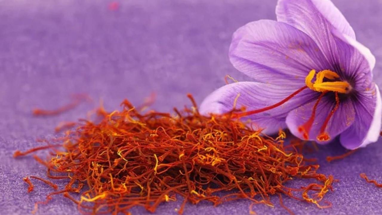 Foto - Bir porsiyonu 28 bin lira! İşte dünyanın en pahalı 10 yiyeceği! 