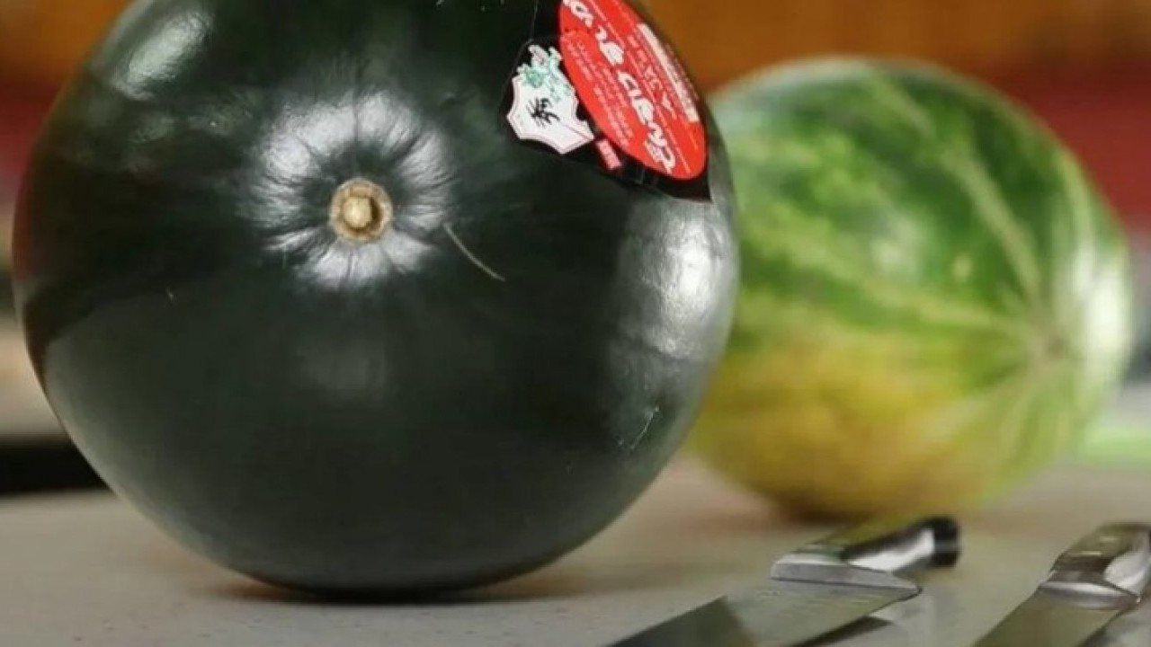 Foto - Bir porsiyonu 28 bin lira! İşte dünyanın en pahalı 10 yiyeceği! 