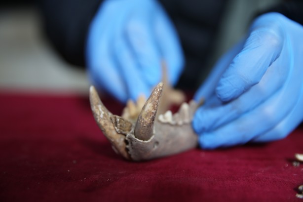 Foto - Bir şehir resmen ayakta! Herkes yerin altından tarih fışkıracağından emin! Çok şaşıracaksınız...