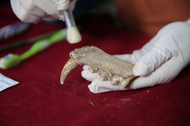 Foto - Bir şehir resmen ayakta! Herkes yerin altından tarih fışkıracağından emin! Çok şaşıracaksınız...