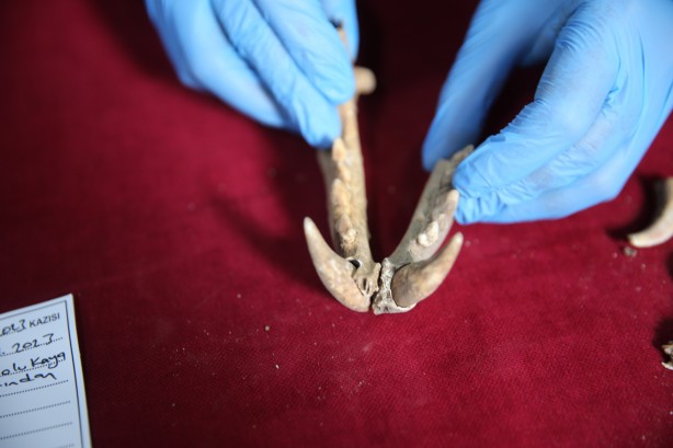 Foto - Bir şehir resmen ayakta! Herkes yerin altından tarih fışkıracağından emin! Çok şaşıracaksınız...