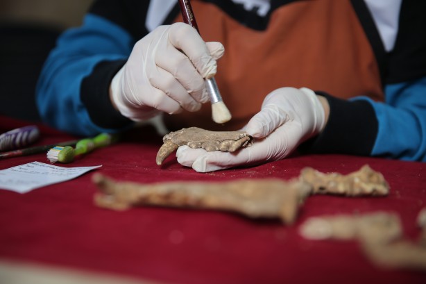 Foto - Bir şehir resmen ayakta! Herkes yerin altından tarih fışkıracağından emin! Çok şaşıracaksınız...