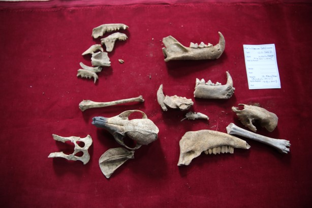 Foto - Bir şehir resmen ayakta! Herkes yerin altından tarih fışkıracağından emin! Çok şaşıracaksınız...