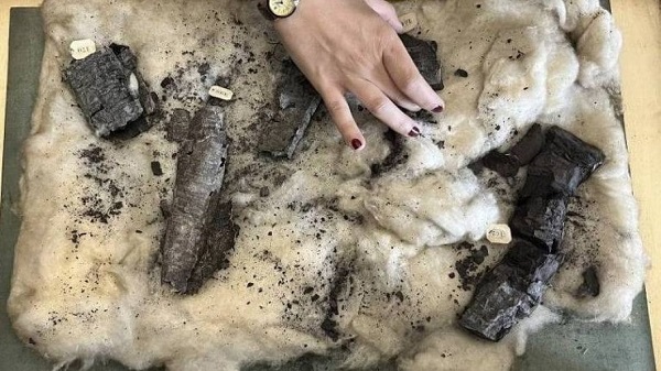 Foto - Bir SMS ile tarihe geçti! 21 yaşındaki genç 2000 yıl sonra bir ilki başardı