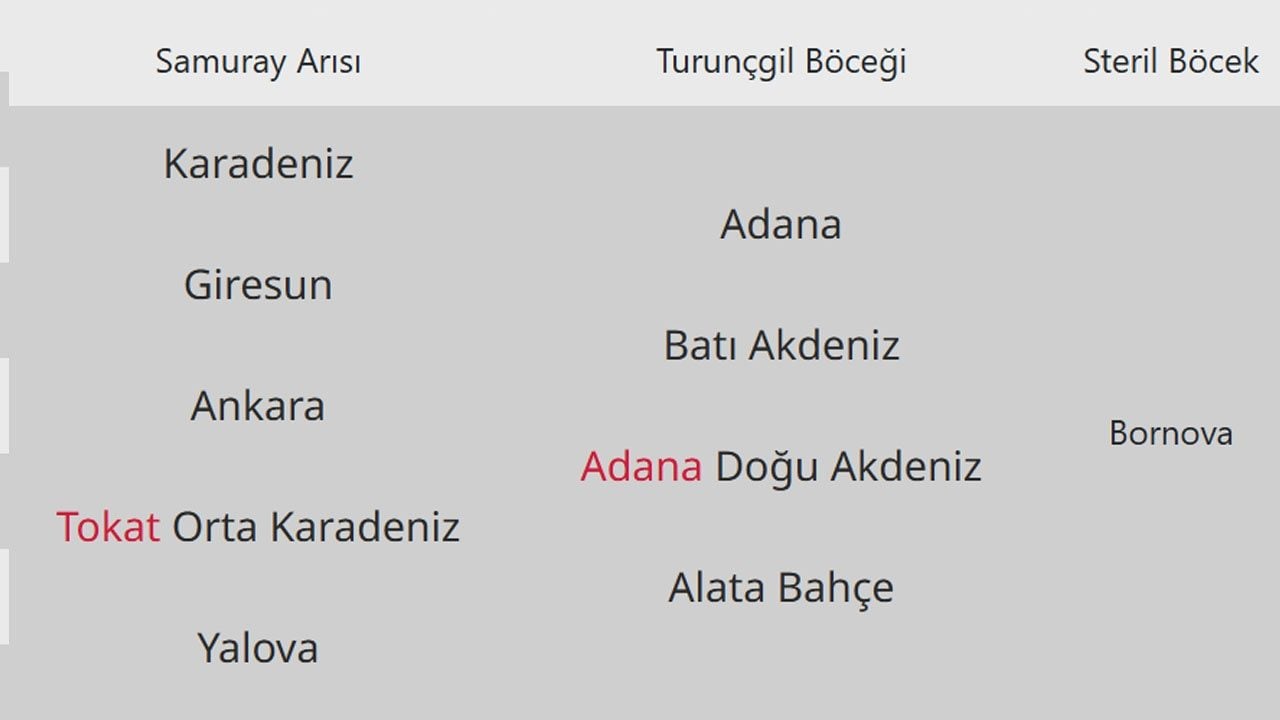 Foto - Bir süredir 'Pestisite' karşı verilen mücadelede: 2 milyar liralık destek verildi... Samuray arısı - steril böcekler sahada