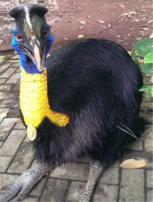 Foto - Bir tabur Amerikan askerini öldürdü