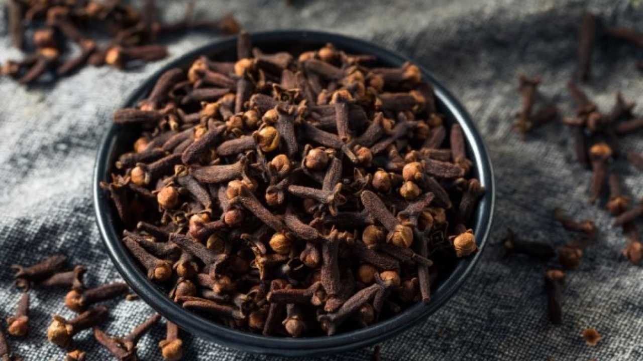 Foto - Bir tane bile kalmayacak! Karıncaları evden uzaklaştırmanın doğal yolu