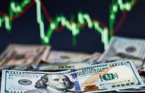 Bir tek hisse bir günde BİST100 kadar değerlendi