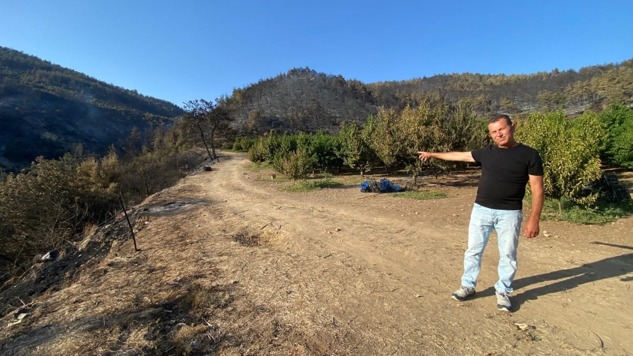 Foto - Bir tek orası küle dönmedi! Orman yangındaki görüntünün sırrı çözüldü