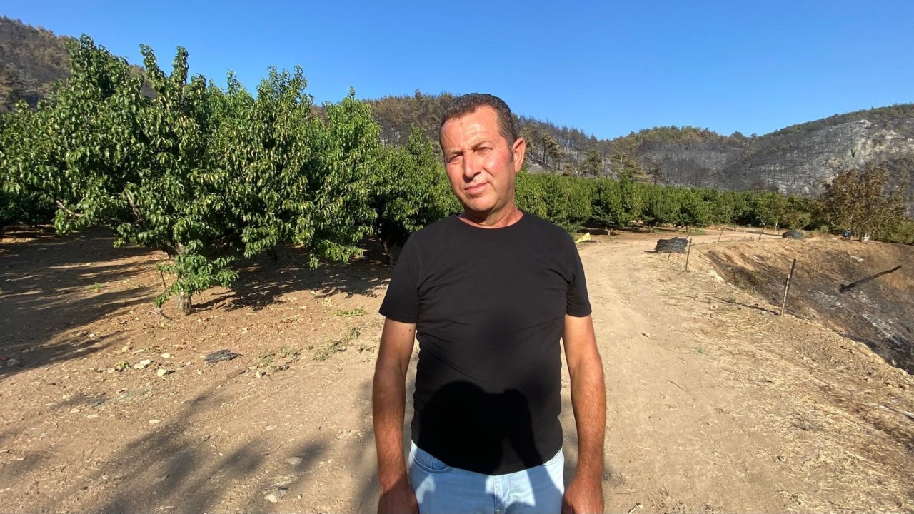 Foto - Bir tek orası küle dönmedi! Orman yangındaki görüntünün sırrı çözüldü