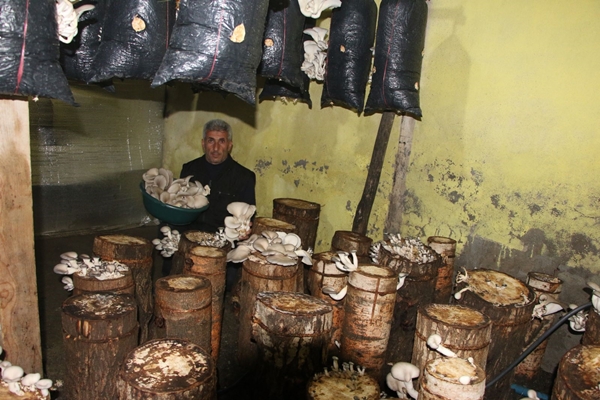 Foto - Bir torba ve bir kütükle başladı... Şimdi siparişlere yetişemiyor