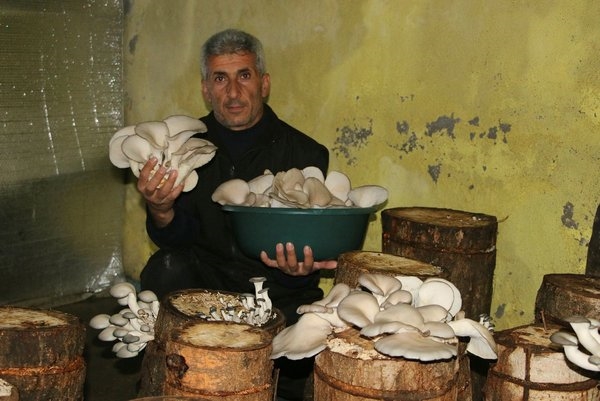 Bir torba ve bir kütükle başladı... Şimdi siparişlere yetişemiyor